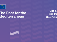 The Pact for the Mediterranean