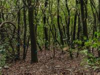 Parcelas experimentales en Prades