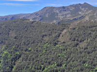 Mountain range with dense forest and blue sky.Parque Natural de la Sierra Norte de Guadalajara, uno de los casos demostrativos del proyecto LIFE RedBosques_Clima.