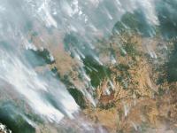 Photograph of forest fires with smoke plumes.