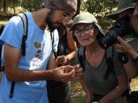 Persones voluntàries mirant una papallona que subjecten amb la mà i fotografien amb una càmera