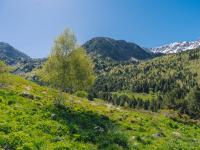 Scenic view of mountains with lush green trees and blue sky.