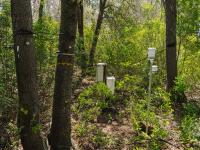 Weather monitoring equipment in the woods.