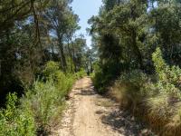 Ecosystem Services Platform, CREAF. Imatge Galdric Mossoll