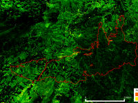 Els models digitals d’alçàries generats amb el nou mètode LidarTeam detecten perfectament com va quedar l’estructura vertical de la zona afectada per l’incendi d’Òdena del 26 de juliol de 2015. Es pot apreciar que algunes petites zones mantenen l’alçària.