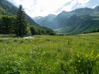 Green meadow with mountains in the distance.