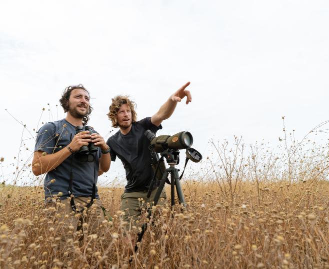Scientists bird watching in the field. COGPOP, CREAF. Picture: Galdric Mossoll