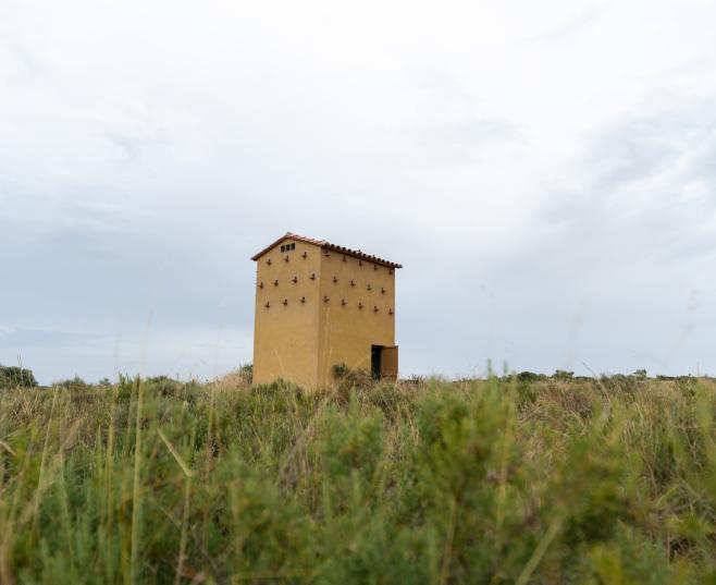 A birdnest tower in Mas de Melons, Lleida. COGPOP, CREAF. Picture: Galdric Mossoll