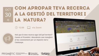 Cartell de la videoconferència per a investigadors i investigadores, amb la imatge d'un portàtil.