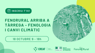 Cartell en fons verd clar amb el text: “Inscriu-t’hi! Fenorural arriba a Tàrrega – Fenologia i canvi climàtic. 18 d’octubre, de 9 a 18 h.” A la dreta hi ha una fotografia de branques amb inflorescències penjants, en tons verds. A la part inferior hi apareixen els logotips del CREAF, Severo Ochoa Excellence, Meteo.cat – Servei Meteorològic de Catalunya, i FenoRural.