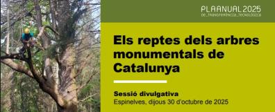Sessio_arbres_monumentals