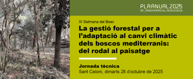 Poster with forest background and text in Catalan.