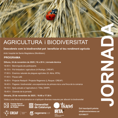 Poster for an agriculture and biodiversity conference. A ladybug sits on wheat.