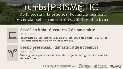 rumbsprismàtic