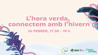 Text in pink over a light background and a lizard graphic.