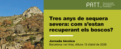 Poster about forest recovery with mountain background.