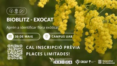 Yellow flower blossoms with text about a bioblitz.