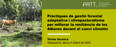 Cow in a forest, text about forest management.