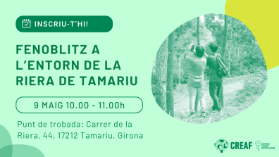 Text: Fenoblitz a l'entorn de la riera de tamariu, el 9 de Maig entre les 9 i les 13h. Begur. Imatge: Dues persones al bosc fotografiant un arbre. Tot en tons verdosos.