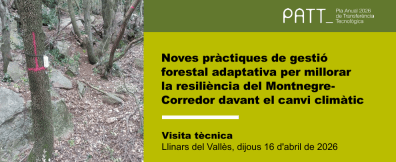 Forest with a pink marker on a tree and text in Catalan.