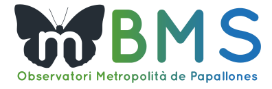 Logo with butterfly, the letter "m", and the letters "BMS" in green and blue.