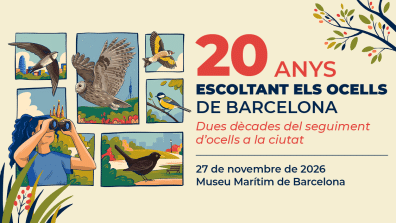 20 anys escoltant ocells a Barcelona