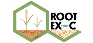 Logotip de Root Ex-C: planta amb arrels i text.