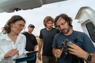 Scientists examining a bird, COGPOP, CREAF. Picture: Galdric Mossoll