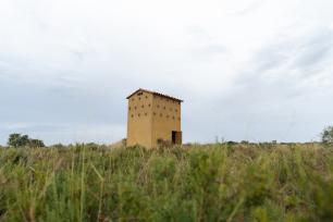 A birdnest tower in Mas de Melons, Lleida. COGPOP, CREAF. Picture: Galdric Mossoll