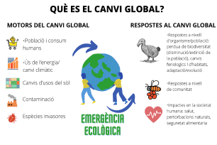 grafic_canvi_consequencies_1