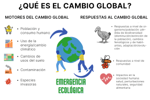 Diagrama ilustrativo de causas y respuestas al cambio climático