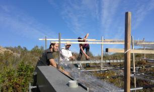 Parcel·les_experimentals_Garraf_R.Ogaya