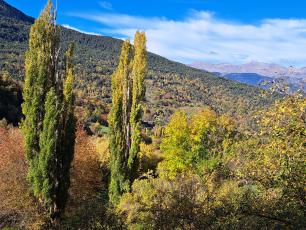   Boscos del Pallars Sobirà. Autor: Paco Lloret 