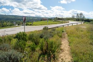 Road with a curve and vegetation on a sunny day.