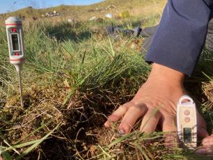 temperatura del suelo pradera subártica