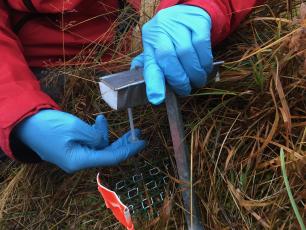 Recogiendo muestras pradera subártica