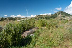 Green field with mountains in the background under a blue sky.