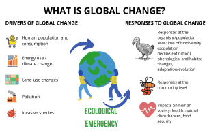 Diagram of global change factors, with drivers and responses illustrated.