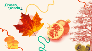 Maple leaf and pomegranate in autumn colors.