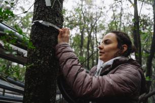 estefania_muñoz_diseq