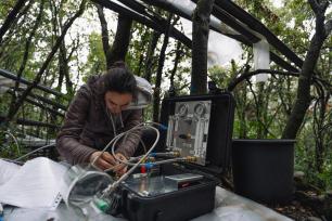 Estefania_munoz_diseq