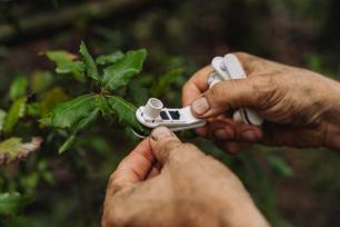  Parcelas experimentales de Prades (Tarragona), proyecto DISEQ