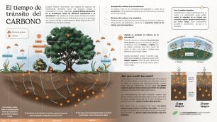 Infografia_transito_carbono_laura_fraile