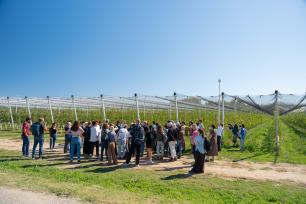Group of people in an orchard with netting under a clear blue sky.