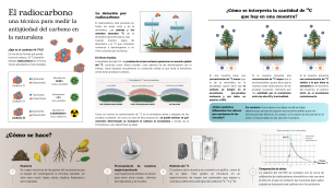 técnica de datación por radiocarbono