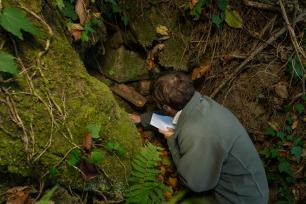 Man examining something in a stone wall, covered in moss and vegetation.