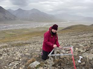 Woman kneels measuring plants on a hillside, mountains in the background.