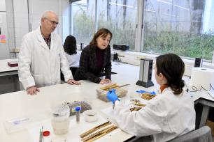 Scientists working in a lab looking at samples.
