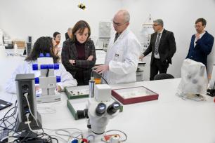 People examining items in a laboratory; microscopes on the table.