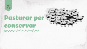 Graphic with text "Pasturar per conservar" and a herd of cows.